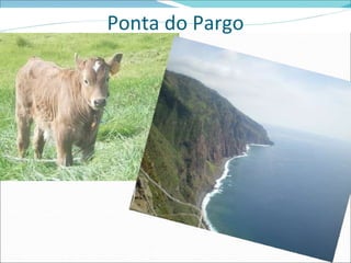 Ponta do Pargo 
