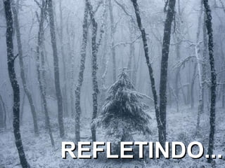 REFLETINDO... 