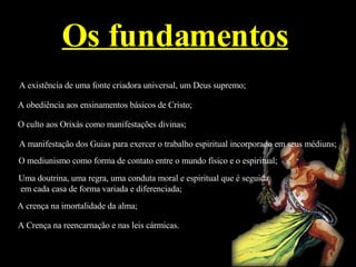 Ña mosca comunicação