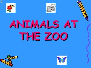 ANIMALS AT THE ZOO 