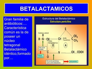 BETALACTAMICOS Gran familia de antibióticos:… Característica común es la de poseer un núcleo  tetragonal Betalactámico  id...