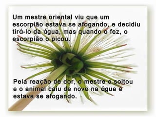 Um mestre oriental viu que um escorpião estava se afogando, e decidiu tir á -lo da  á gua, mas quando o fez, o escorpião o picou.   Pela rea ç ão de dor, o mestre o soltou e o animal caiu de novo na  á gua e estava se afogando.   