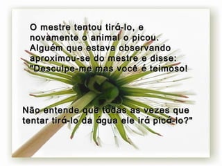 O mestre tentou tir á -lo, e novamente o animal o picou.  Algu é m que estava observando aproximou-se do mestre e disse: "Desculpe-me mas você  é  teimoso!  Não entende que todas as vezes que tentar tir á -lo da  á gua ele ir á  pic á -lo?" 