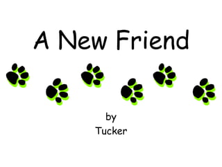 A New Friend

      by
    Tucker
 