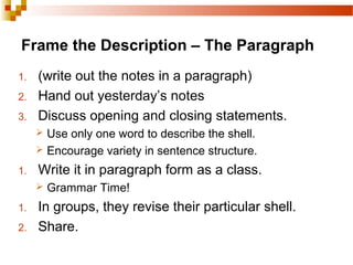 Frame the Description – The Paragraph
1. (write out the notes in a paragraph)
2. Hand out yesterday’s notes
3. Discuss opening and closing statements.
 Use only one word to describe the shell.
 Encourage variety in sentence structure.
1. Write it in paragraph form as a class.
 Grammar Time!
1. In groups, they revise their particular shell.
2. Share.
 