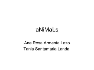 aNiMaLs Ana Rosa Armenta Lazo Tania Santamaria Landa  