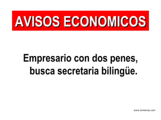 Empresario con dos penes, busca secretaria bilingüe. AVISOS ECONOMICOS 