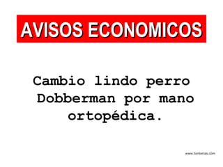 Cambio lindo perro Dobberman por mano ortopédica. AVISOS ECONOMICOS 
