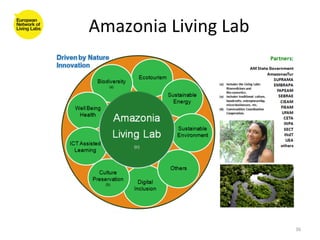 Amazonia	
  Living	
  Lab	
  




                                36	
  
 