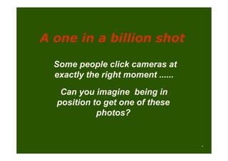 A one in a billion shot

  Some people click cameras at
  exactly the right moment ......
   Can you imagine being in
  position to get one of these
            photos?
 