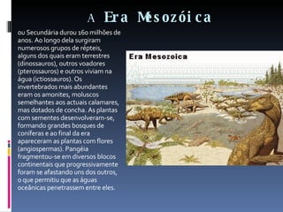 A  Era Mesozóica ou Secundária durou 160 milhões de anos. Ao longo dela surgiram numerosos grupos de répteis, alguns dos quais eram terrestres (dinossauros), outros voadores (pterossauros) e outros viviam na água (ictiossauros). Os invertebrados mais abundantes eram os amonites, moluscos semelhantes aos actuais calamares, mas dotados de concha. As plantas com sementes desenvolveram-se, formando grandes bosques de coníferas e ao final da era apareceram as plantas com flores (angiospermas). Pangéia fragmentou-se em diversos blocos continentais que progressivamente foram se afastando uns dos outros, o que permitiu que as águas oceânicas penetrassem entre eles. 