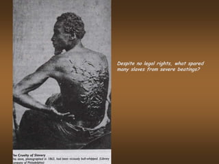 Despite no legal rights, what spared
many slaves from severe beatings?
 