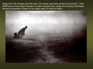 Along with the drought and the wind, the human hand also worked its mischief. High
WWI prices encouraged farmers to plow marginal land, using dry farming techniques,
leaving the powdery topsoil to be swept away at nature’s whim.
 