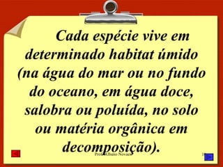 Cada espécie vive em determinado habitat úmido (na água do mar ou no fundo do oceano, em água doce, salobra ou poluída, no solo ou matéria orgânica em decomposição). 