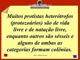 Muitos protistas heterótrofos (protozoários) são de vida livre e de natação livre, enquanto outros são sésseis e alguns de ambas as categorias formam colônias.  