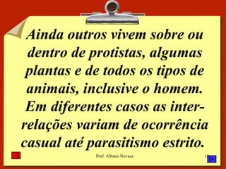 Ainda outros vivem sobre ou dentro de protistas, algumas plantas e de todos os tipos de animais, inclusive o homem. Em diferentes casos as inter-relações variam de ocorrência casual até parasitismo estrito.  