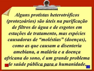Alguns protistas heterotróficos (protozoários) são úteis na purificação de filtros de água e de esgotos em estações de tratamento, mas espécies causadoras de “moléstias” (doenças), como as que causam a disenteria amebiana, a malária e a doença africana do sono, é um grande problema de saúde pública para a humanidade. 