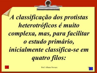 A classificação dos protistas heterotróficos é muito complexa, mas, para facilitar o estudo primário, inicialmente classifica-se em quatro filos: 