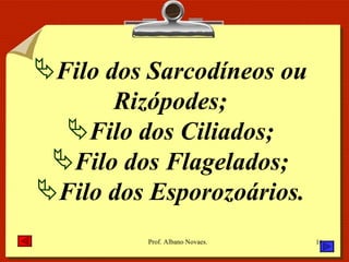 Filo dos Sarcodíneos ou Rizópodes; Filo dos Ciliados; Filo dos Flagelados; Filo dos Esporozoários. 