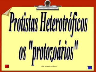 Protistas Heterotróficos os "protozoários" 