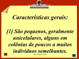 Características gerais: [1] São pequenos, geralmente unicelulares, alguns em colônias de poucos a muitos indivíduos semelhantes. 