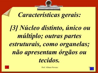 Características gerais: [3] Núcleo distinto, único ou múltiplo; outras partes estruturais, como organelas; não apresentam órgãos ou tecidos. 