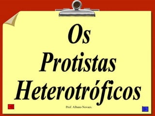 Os Protistas Heterotróficos 