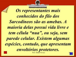 Os representantes mais conhecidos do filo dos Sarcodíneos são as amebas. A maioria delas possui vida livre e tem célula “nua”, ou seja, sem parede celular. Existem algumas espécies, contudo, que apresentam envoltórios protetores. 
