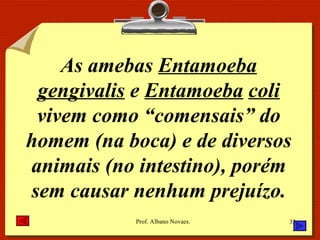 As amebas  Entamoeba   gengivalis  e  Entamoeba   coli  vivem como “comensais” do homem (na boca) e de diversos animais (no intestino), porém sem causar nenhum prejuízo. 
