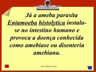 Já a ameba parasita  Entamoeba   histolytica  instala-se no intestino humano e provoca a doença conhecida como amebíase ou disenteria amebiana. 