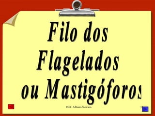 Filo dos Flagelados ou Mastigóforos 