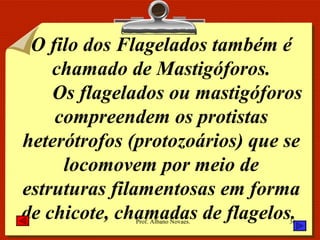 O filo dos Flagelados também é chamado de Mastigóforos. Os flagelados ou mastigóforos compreendem os protistas heterótrofos (protozoários) que se locomovem por meio de estruturas filamentosas em forma de chicote, chamadas de flagelos.  
