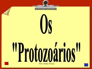 Os "Protozoários" 