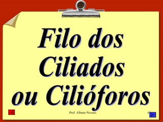 Filo dos Ciliados ou Cilióforos 