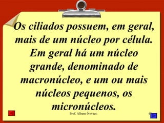 Os ciliados possuem, em geral, mais de um núcleo por célula. Em geral há um núcleo grande, denominado de macronúcleo, e um ou mais núcleos pequenos, os micronúcleos. 