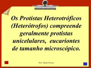 Os Protistas Heterotróficos (Heterótrofos) compreende geralmente protistas unicelulares,  eucariontes de tamanho microscópico. 