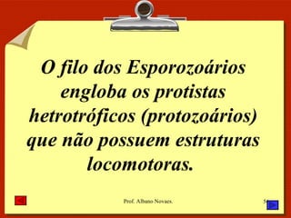 O filo dos Esporozoários engloba os protistas hetrotróficos (protozoários) que não possuem estruturas locomotoras.  