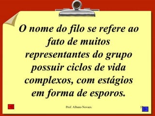 O nome do filo se refere ao fato de muitos representantes do grupo possuir ciclos de vida complexos, com estágios em forma de esporos. 