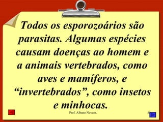 Todos os esporozoários são parasitas. Algumas espécies causam doenças ao homem e a animais vertebrados, como aves e mamíferos, e “invertebrados”, como insetos e minhocas.  