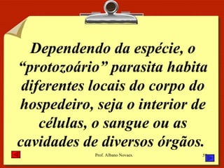 Dependendo da espécie, o “protozoário” parasita habita diferentes locais do corpo do hospedeiro, seja o interior de células, o sangue ou as cavidades de diversos órgãos.  
