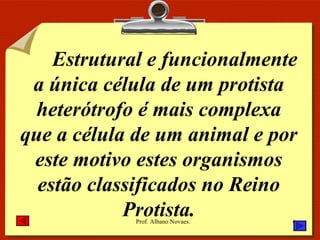 Estrutural e funcionalmente a única célula de um protista heterótrofo é mais complexa que a célula de um animal e por este motivo estes organismos estão classificados no Reino Protista. 