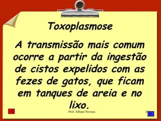 Toxoplasmose A transmissão mais comum ocorre a partir da ingestão de cistos expelidos com as fezes de gatos, que ficam em tanques de areia e no lixo. 