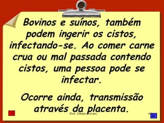 Bovinos e suínos, também podem ingerir os cistos, infectando-se. Ao comer carne crua ou mal passada contendo cistos, uma pessoa pode se infectar. Ocorre ainda, transmissão através da placenta. 