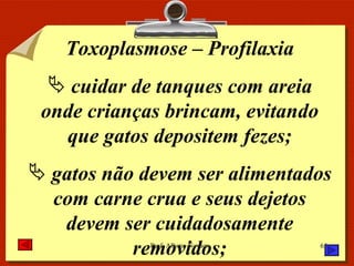 Toxoplasmose – Profilaxia cuidar de tanques com areia onde crianças brincam, evitando que gatos depositem fezes; gatos não devem ser alimentados com carne crua e seus dejetos devem ser cuidadosamente removidos; 