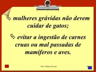    mulheres grávidas não devem cuidar de gatos; evitar a ingestão de carnes cruas ou mal passadas de mamíferos e aves. 