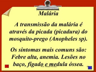 Malária A transmissão da malária é através da picada (picadura) do mosquito-prego (Anopheles sp). Os sintomas mais comuns são: Febre alta, anemia. Lesões no baço, fígado e medula óssea. 