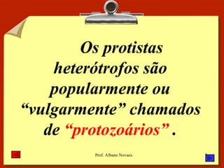 Os protistas heterótrofos são popularmente ou “vulgarmente” chamados de  “protozoários”  . 