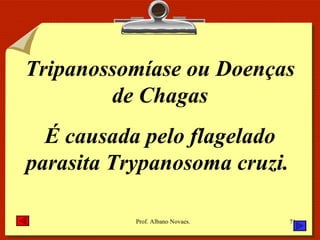 Tripanossomíase ou Doenças de Chagas É causada pelo flagelado parasita Trypanosoma cruzi.  