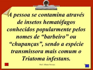 A pessoa se contamina através de insetos hematófagos conhecidos popularmente pelos nomes de “barbeiro” ou “chupanças”, sendo a espécie transmissora mais comum o Triatoma infestans. 