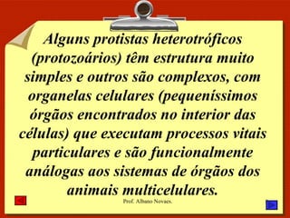 Alguns protistas heterotróficos (protozoários) têm estrutura muito simples e outros são complexos, com organelas celulares (pequeníssimos órgãos encontrados no interior das células) que executam processos vitais particulares e são funcionalmente análogas aos sistemas de órgãos dos animais multicelulares. 